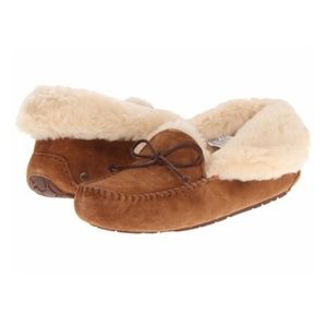 UGG Australia Chestnut Womens Suede 1004806
